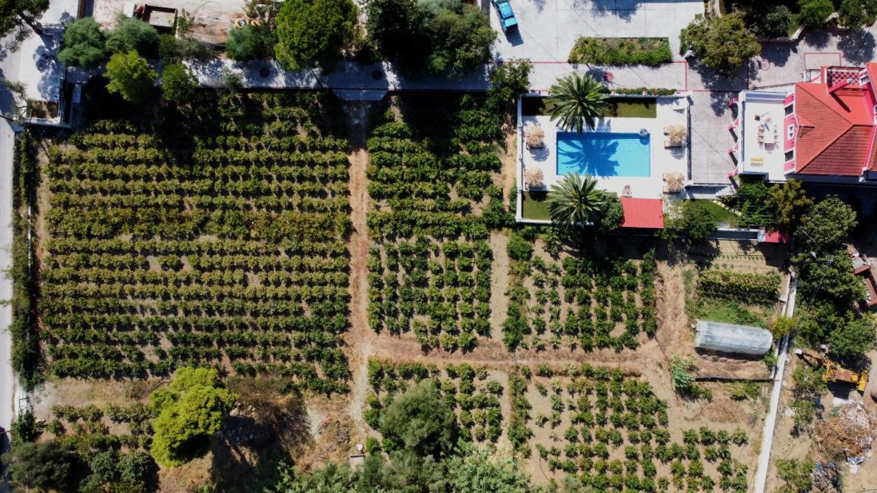 Zissis Villa & Pool 5Min Drive To Beach Kato Yerakarion Dış mekan fotoğraf